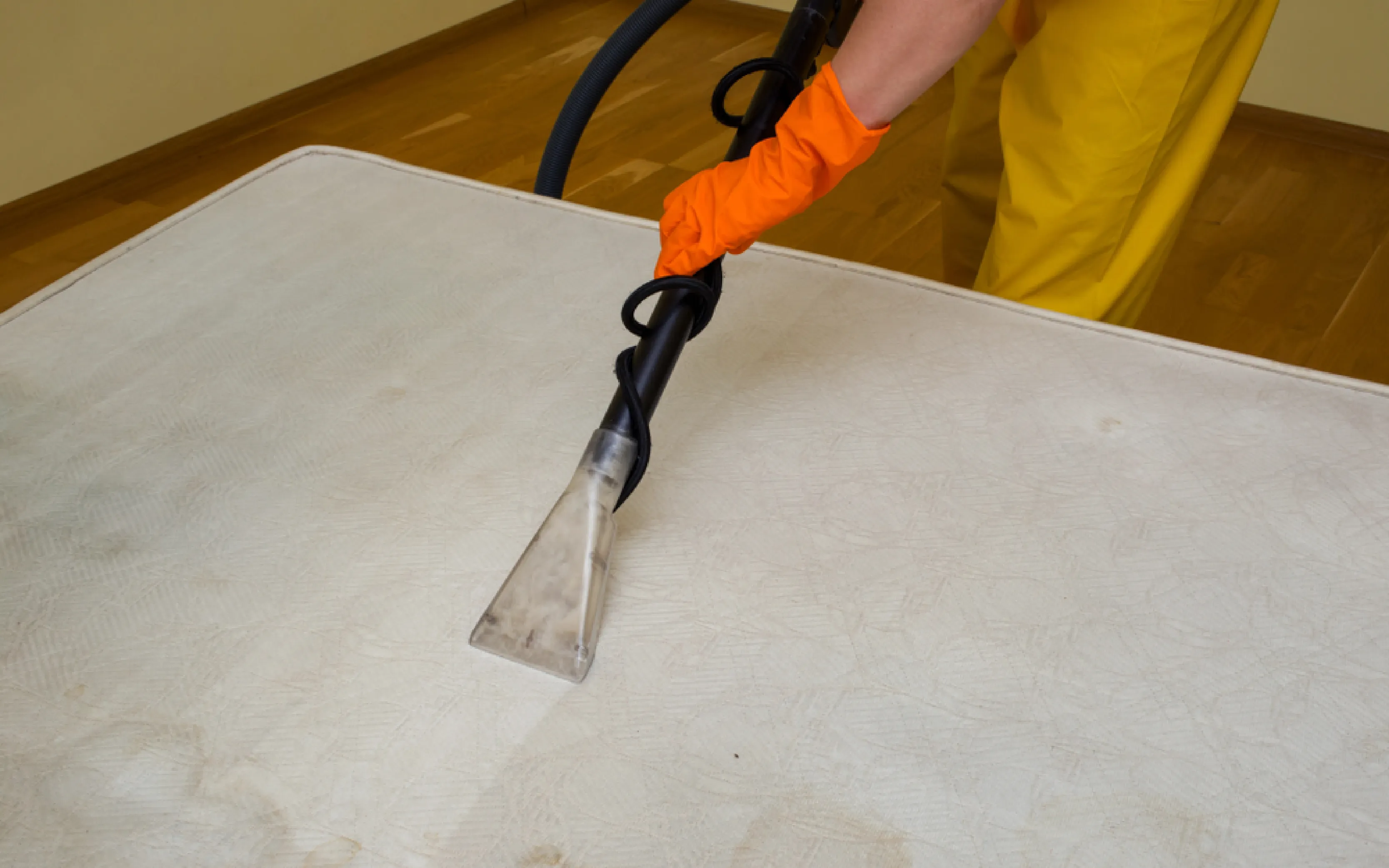 carpet cleaning in manhattan, carpet cleaning manhattan, carpet cleaners in manhattan, carpet cleaners in manhattan, commercial carpet cleaning, commercial carpet cleaning in manhattan, manhattan rug cleaners, rug cleaning services in manhattan, same day carpet cleaning, same day rug cleaning in manhattan