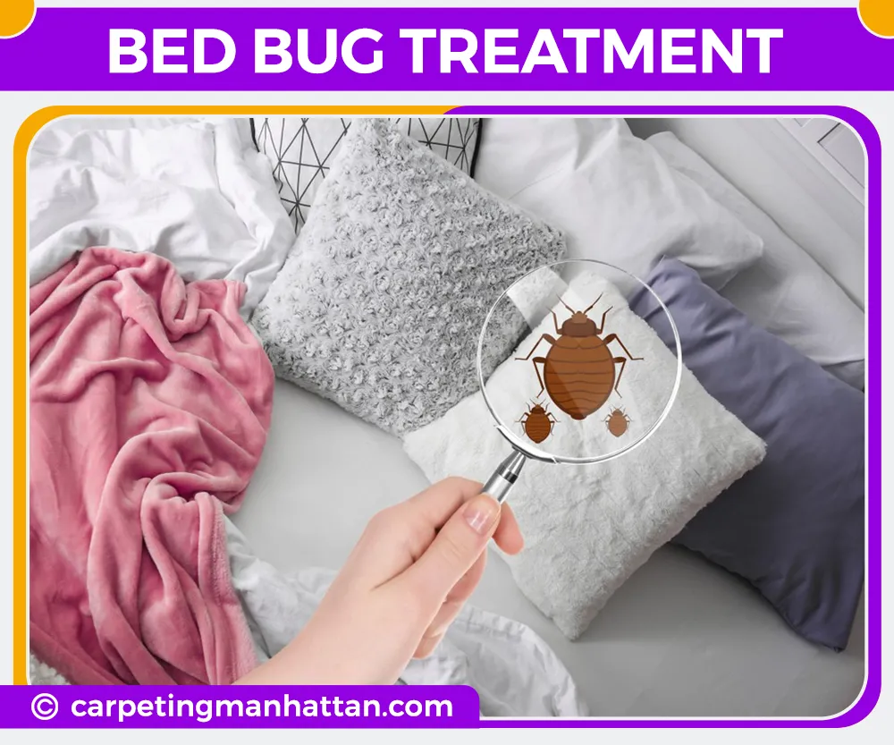 carpet cleaning in manhattan, carpet cleaning manhattan, carpet cleaners in manhattan, carpet cleaners in manhattan, commercial carpet cleaning, commercial carpet cleaning in manhattan, manhattan rug cleaners, rug cleaning services in manhattan, same day carpet cleaning, same day rug cleaning in manhattan